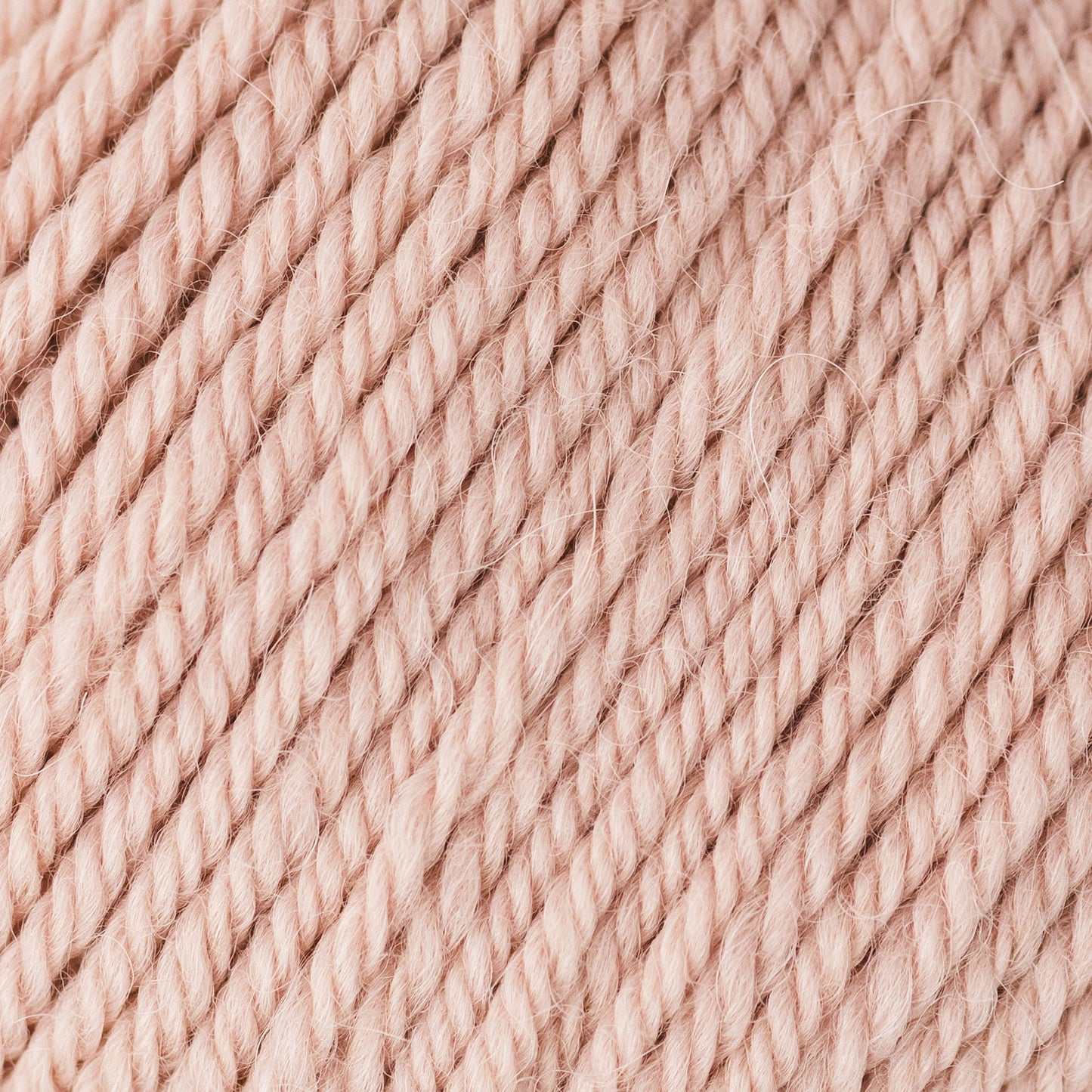 Alpine merino