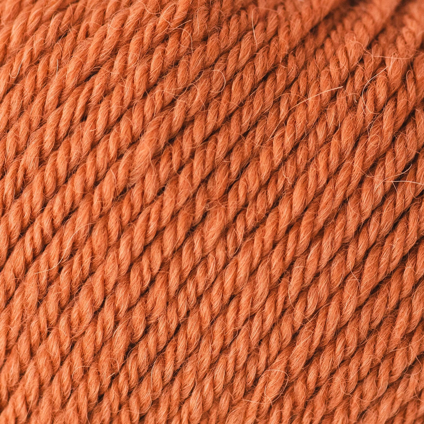 Alpine merino