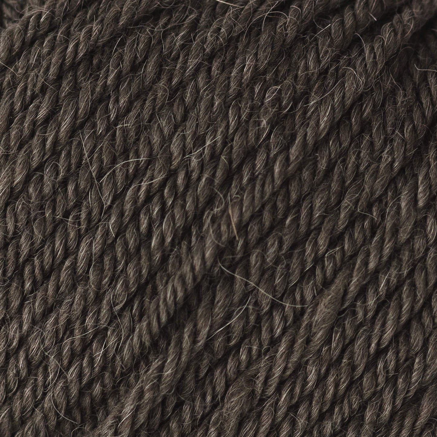 Alpine merino